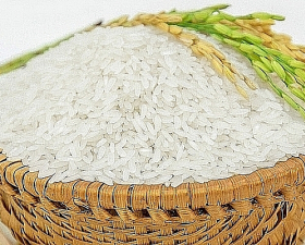 Việt Nam phải nhập gạo, điều, hạt tiêu... con số gây choáng